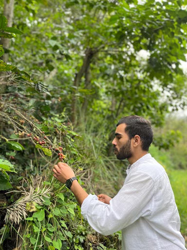 Le métier de torréfacteur de café