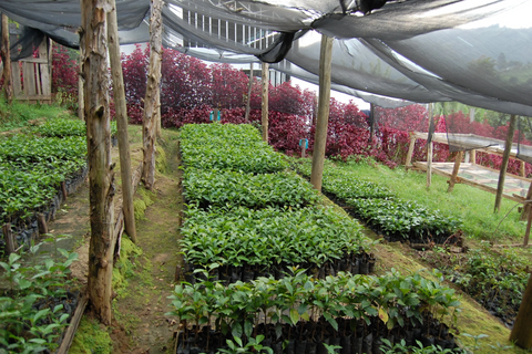 Notre engagement pour un café durable et responsable