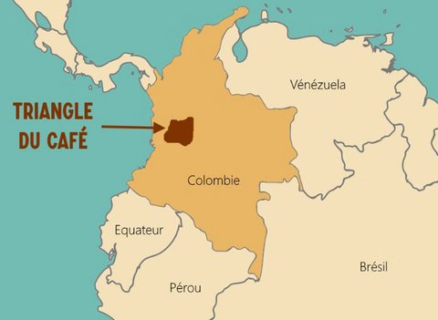 Colombie : le triangle du café et ses secrets