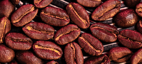 Bourbon Pointu : le café le plus rare et le plus cher de France